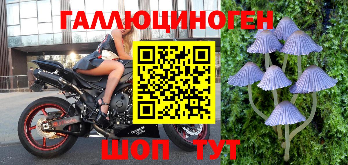 Псилоцибиновые грибы MAGIC MUSHROOMS  Вход с VPN  Псилоцибиновые грибы Cubensis  Белая Калитва 